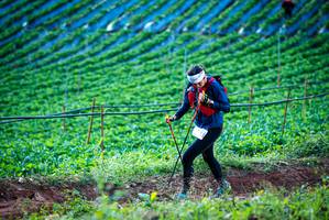 BIB: 
                            <button type="button" onclick="openModal(19160007)" class="btn btn-primary btn-sm float-right btn-popup" data-toggle="modal" data-target=".modal-high-quality">
                        <i class="fas fa-shopping-cart"></i> Add to Cart
                    </button>
                                            <button type="button" onclick="isThisMe(19160007, true)" class="btn btn-success btn-sm float-right btn-popup btn-isme hidden" data-toggle="tooltip" data-placement="bottom" title="นี่คือรูปของคุณใช่ไหม คลิกที่นี่เพื่อเอาเข้าอัลบั้ม">
                        <i class="fas fa-plus"></i> Add to album
                    </button>
                    <button type="button" onclick="isThisMe(19160007, false)" class="btn btn-warning btn-sm float-right btn-popup btn-isnotme hidden">
                        <i class="fas fa-ban"></i> Remove from album
                    </button>